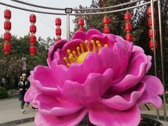 -太阳宫公园