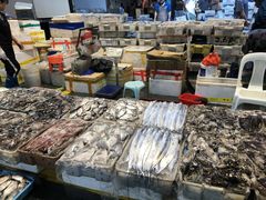 -海峡水产品交易中心(海鲜交易区)