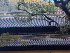 -普陀山风景名胜区-法雨禅寺