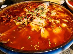 -庆合府重庆大排档(紫都城店)