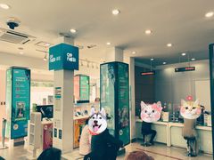 -中国移动(田林路营业厅)