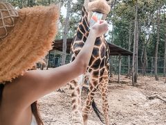 -清迈夜间动物园