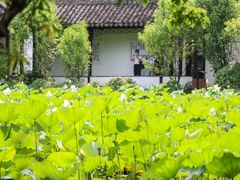 -上海醉白池公园