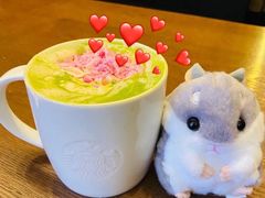 -星巴克(青浦宝龙店)