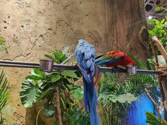 -杭州开元森泊度假乐园