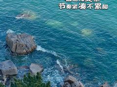 -单家老院·院子里的青岛菜(沙子口店)