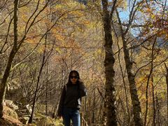 -叠溪松坪沟景区