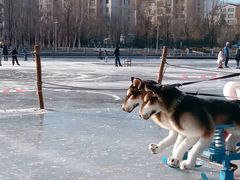 -章樾公园