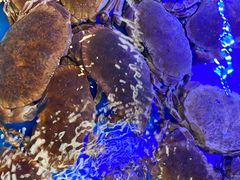 -青石桥市场北1-27号