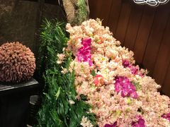 -半岛翡丽海鲜自助餐厅(观风亭店)