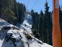 -丝绸之路山地度假区滑雪场