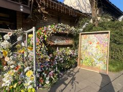 -春暖花开(西溪店)