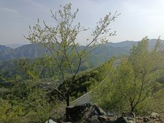 -香山公园