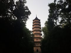 -灵谷景区