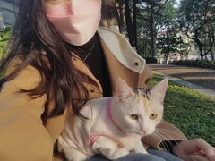 -十九路军淞沪抗日阵亡将士陵园