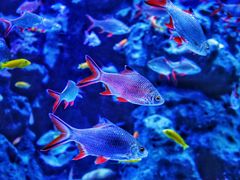 -成都浩海立方海洋公园