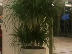 -三亚中亚国际大酒店