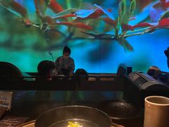 -地球美食剧场
