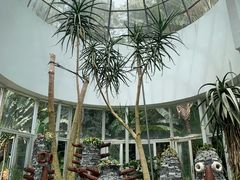 -深圳仙湖植物园