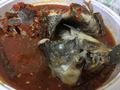 -风鑫铃罗非鱼(道沟店)