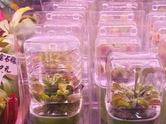 -Bioloark生物方舟生态礼品店