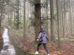 -庐山风景区花径公园