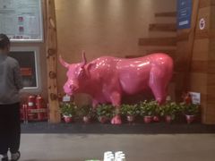 -小放牛炒菜馆(军校店)