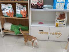 -瑞鹏宠物医院·夜间急症·心超·猫科(祖庙分店)