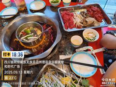 -金鼎雪山牦牛杂火锅(理县总店)