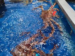 -盒马鲜生(红莲店)