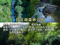 -广州白江湖森林公园