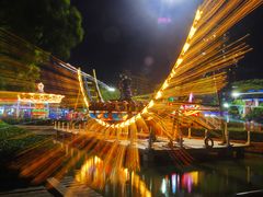 -锦江乐园舞狸花花游园会(夜场专享)