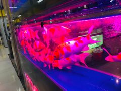 -三旗百汇商品城