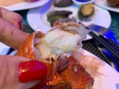 -瑞德姆美人鱼海底演艺主题餐厅(亚龙湾店)