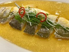 鸡油花雕蒸生态大黄鱼-麟1929(外滩店)