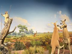 -陕西自然博物馆