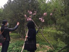 -回龙观体育文化公园