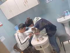 -关爱动物医院·心脏·中兽医·异宠(金牛路分院)