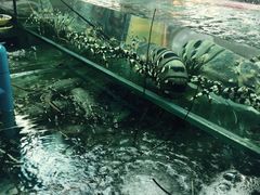 -班赞海鲜市场