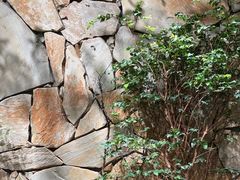 -森SPA·泰式按摩·精油Massage(宝安中心店)