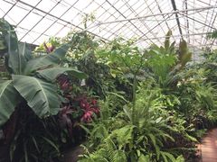 -墨尔本皇家植物园