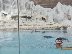 -帝企鹅自助餐厅•儿童岛•真企鹅(长隆企鹅酒店)