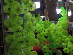 -万商花鸟市场