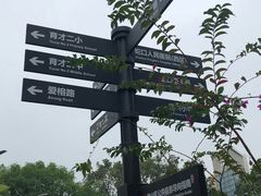 -四海公园(南山区)