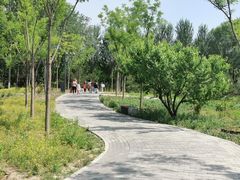 -东郊湿地公园