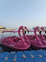 -星海水上乐园(星海广场圣亚店)