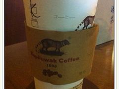 猫屎咖啡-猫屎咖啡(日月光中心广场店)