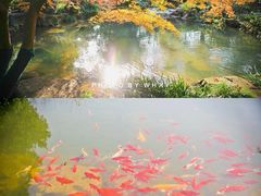 -中国茶叶博物馆(双峰馆区)