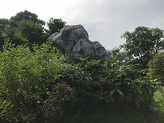 -桃花岛景观公园