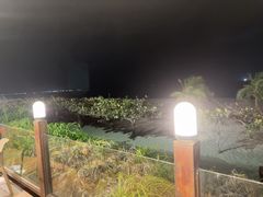 -渔家火锅·海鲜自助餐·演艺(亚龙湾天域酒店)